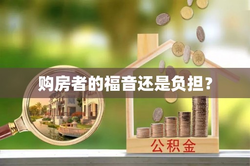 咸宁购房者的福音还是负担？